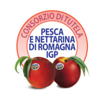 Consorzio di tutela e valorizzazione della pesca e nettarina di Romagna IGP