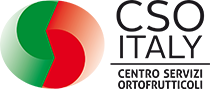 CSO Italy Centro Servizi Ortofrutticoli