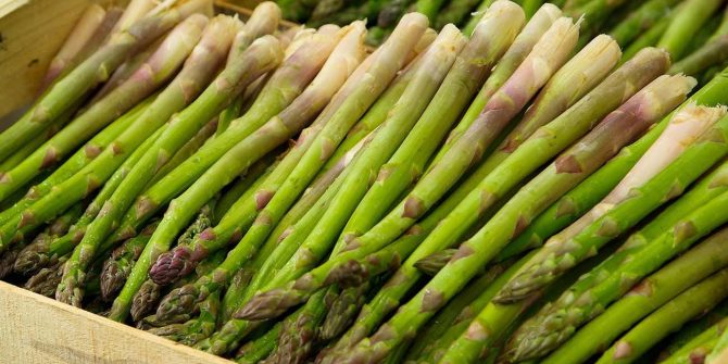 csoservizi-csoitaly-asparagi-raccolta-009