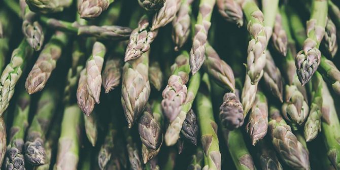 csoservizi-csoitaly-asparagi-raccolta-017