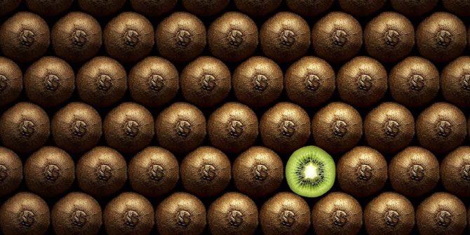 csoservizi-csoitaly-consuntivi-kiwi-001