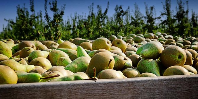 csoservizi-csoitaly-consuntivi-pere-001