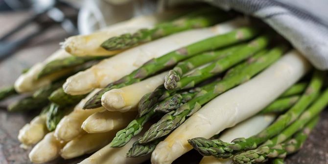 csoservizi-csoitaly-focus-asparagi-001
