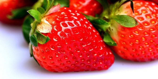 csoservizi-csoitaly-fragole-030