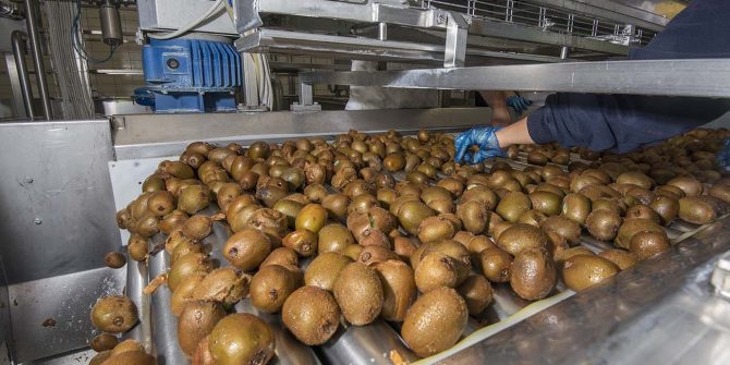 csoservizi-csoitaly-kiwi-004