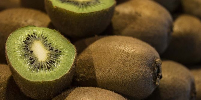 csoservizi-csoitaly-kiwi-006