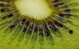 Cile - Kiwi: esportazioni / 2025
