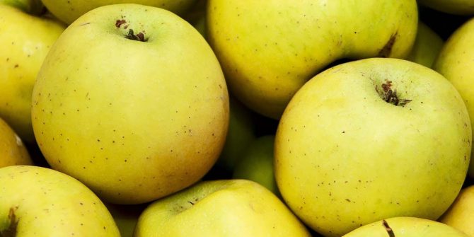 csoservizi-csoitaly-mele-023