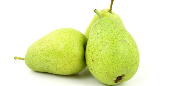 csoservizi-csoitaly-pere-001