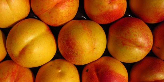 csoservizi-csoitaly-pesche-nettarine-008