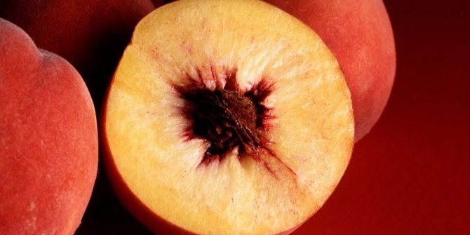 csoservizi-csoitaly-pesche-nettarine-026