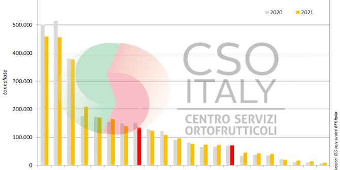 csoitaly_csoservizi_consimi_pesche_nettarine_2021