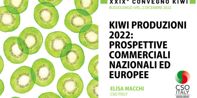 Elisa_Macchi_-_Kiwi_produzioni_2022_Bussolengo