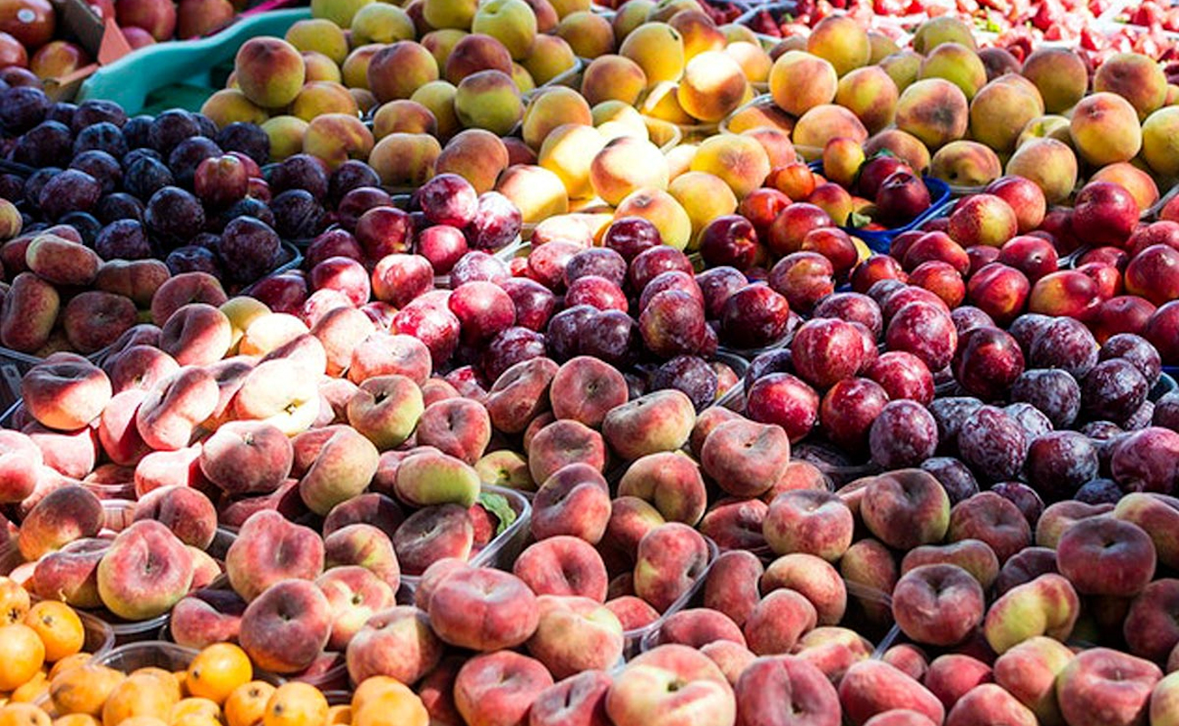 CSOItaly_ITALIA_Consumi_Report_Agosto_2025