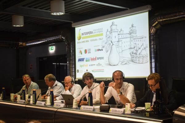 Interpera_2026_404