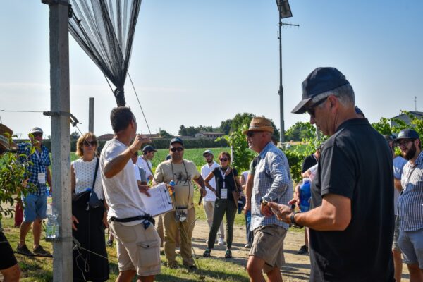 Interpera_2026_673