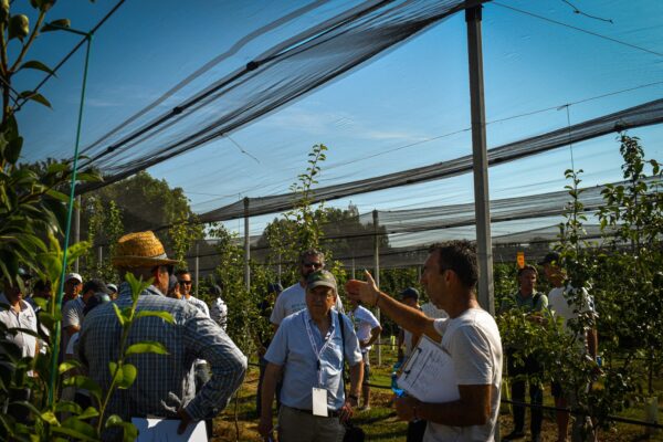 Interpera_2026_694